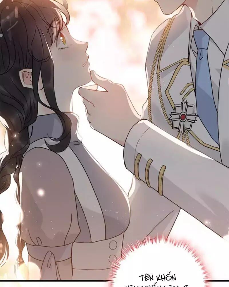 Cô Vợ Hợp Đồng Bỏ Trốn Của Tổng Giám Đốc Chapter 217.3 - 40