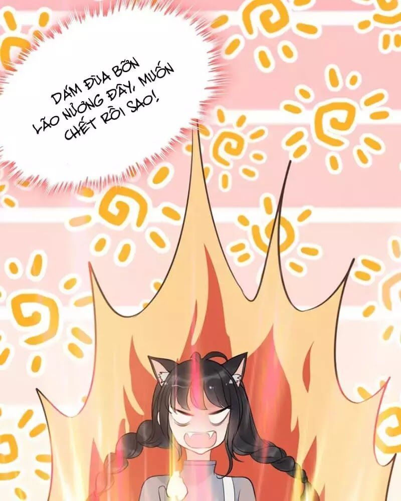 Cô Vợ Hợp Đồng Bỏ Trốn Của Tổng Giám Đốc Chapter 217.3 - 61