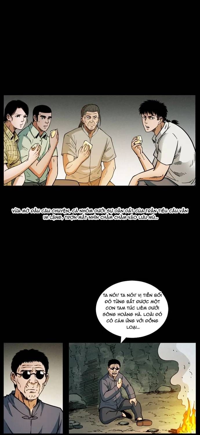 U Minh Ngụy Tượng Chapter 521 - 13