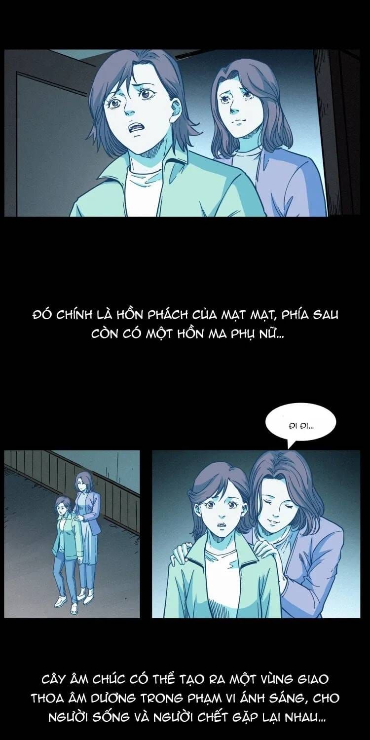 U Minh Ngụy Tượng Chapter 562 - 14