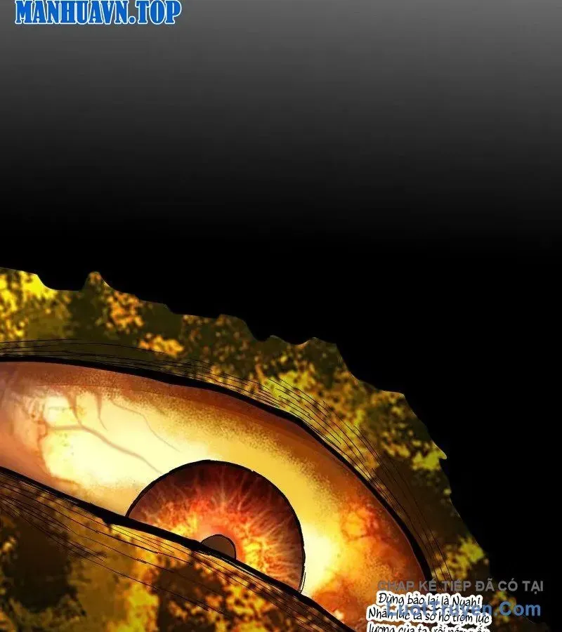 Truyền Võ Chapter 494 - 40