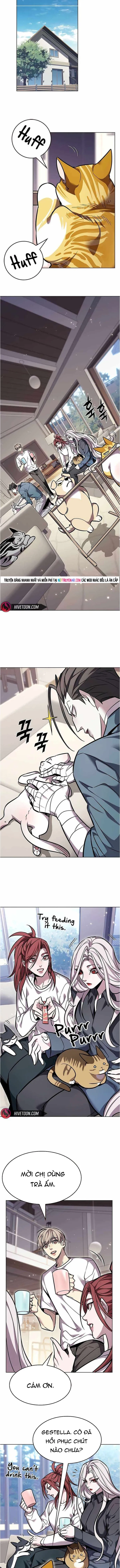 Hoá Thân Thành Mèo Chapter 376 - 13