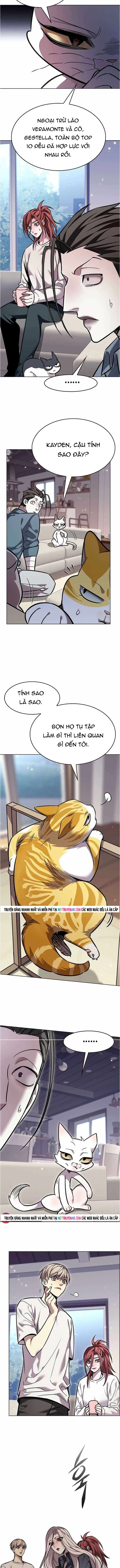 Hoá Thân Thành Mèo Chapter 376 - 15