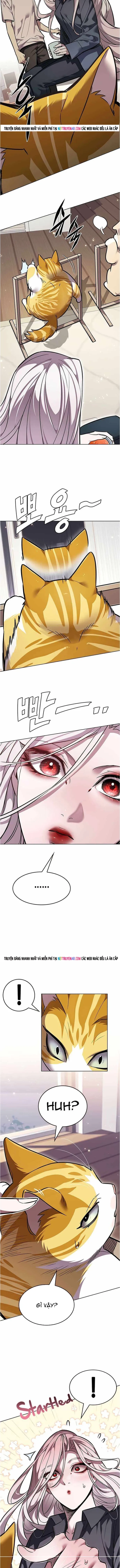 Hoá Thân Thành Mèo Chapter 376 - 16