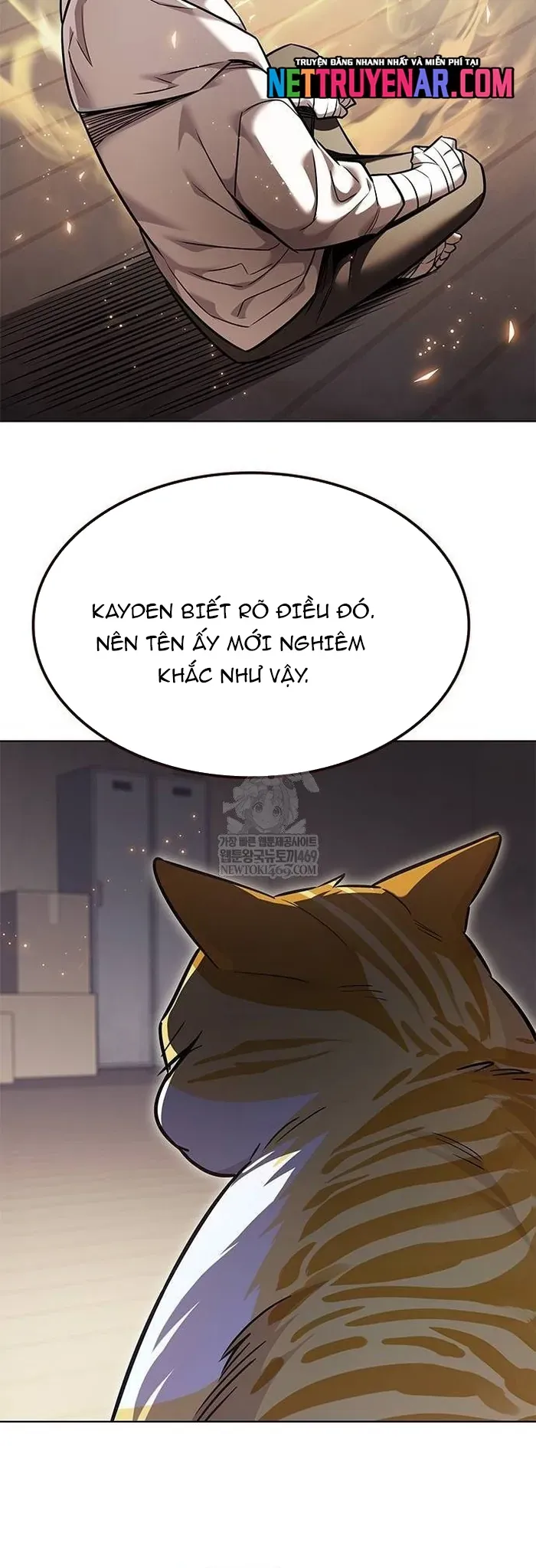 Hoá Thân Thành Mèo Chapter 377 - 14