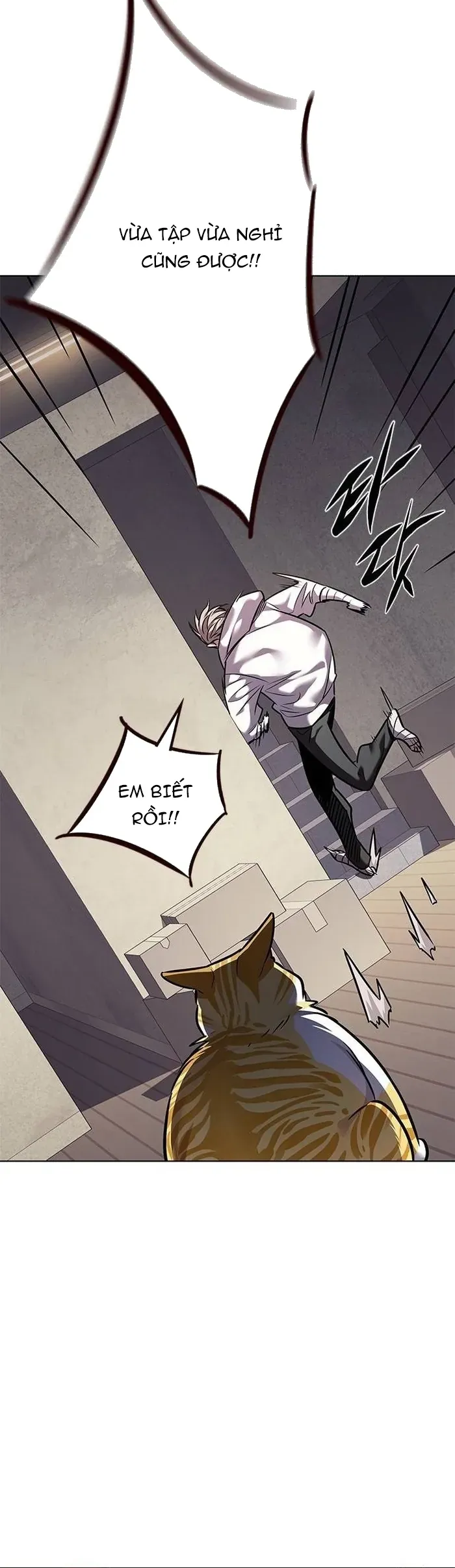Hoá Thân Thành Mèo Chapter 377 - 16