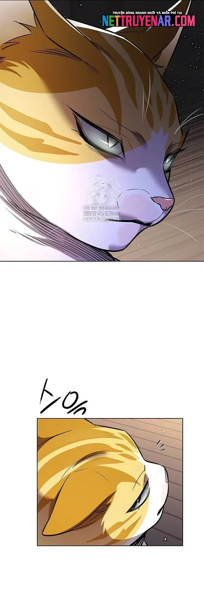 Hoá Thân Thành Mèo Chapter 377 - 17