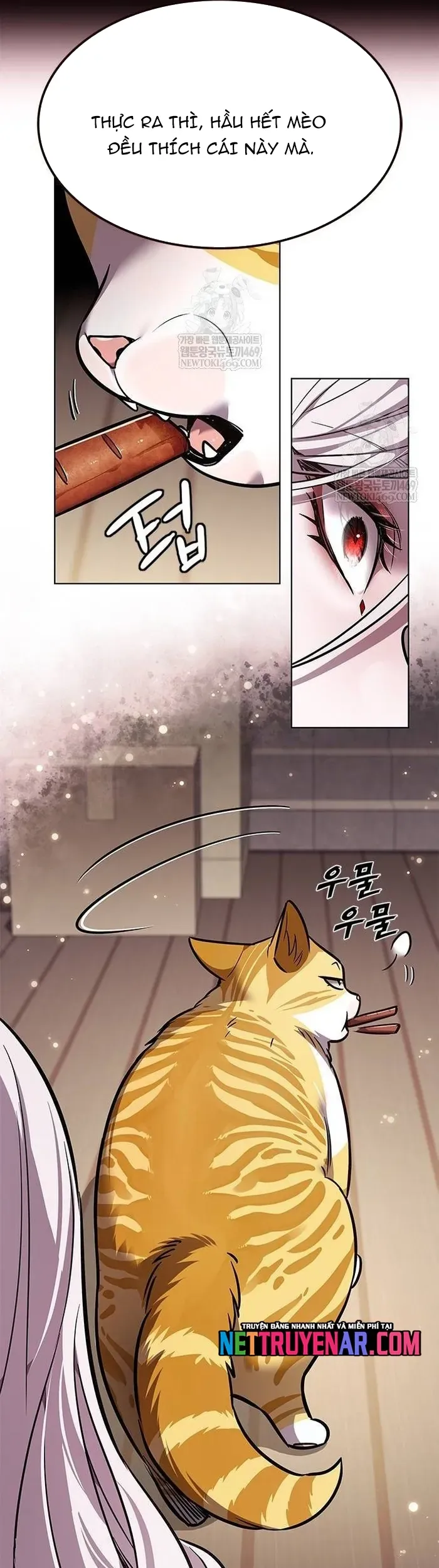Hoá Thân Thành Mèo Chapter 377 - 23