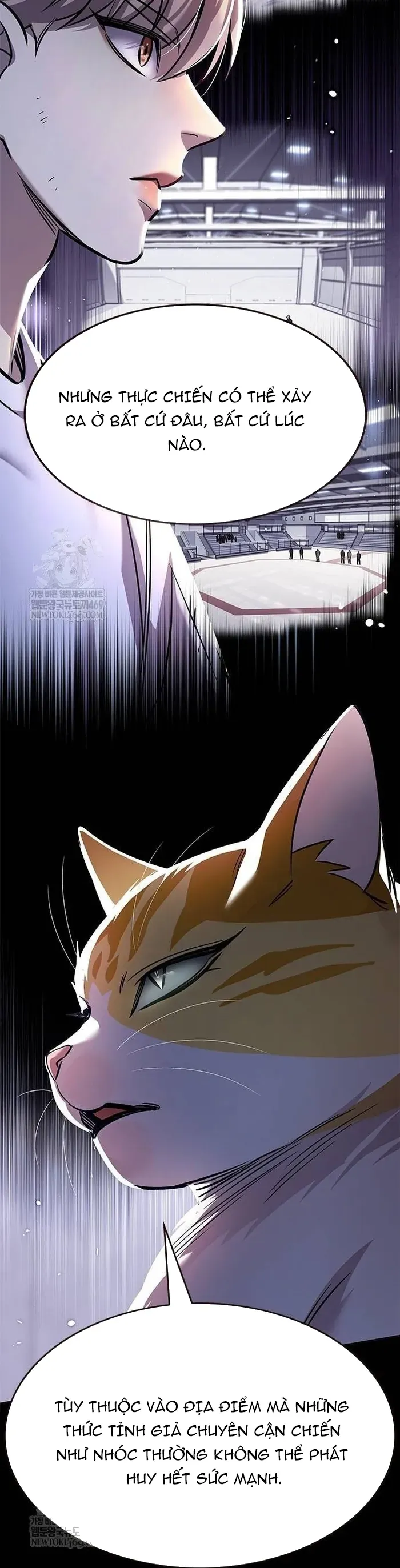 Hoá Thân Thành Mèo Chapter 377 - 35