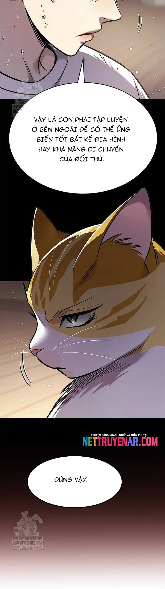 Hoá Thân Thành Mèo Chapter 377 - 37
