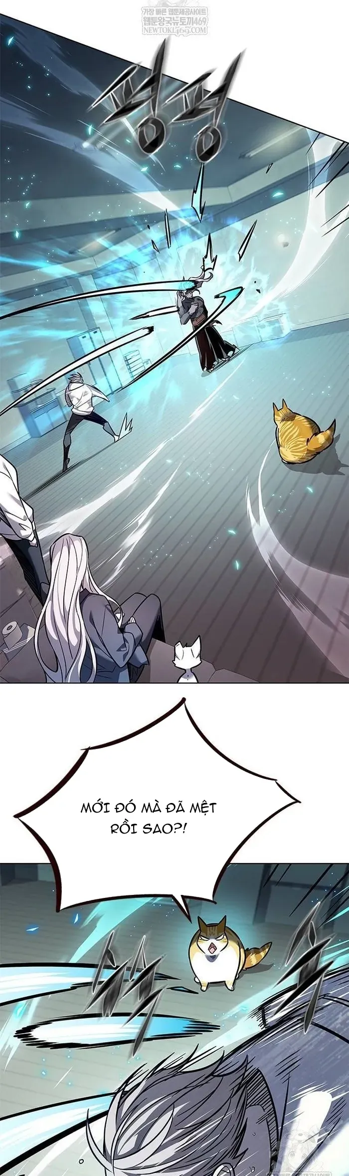 Hoá Thân Thành Mèo Chapter 377 - 5