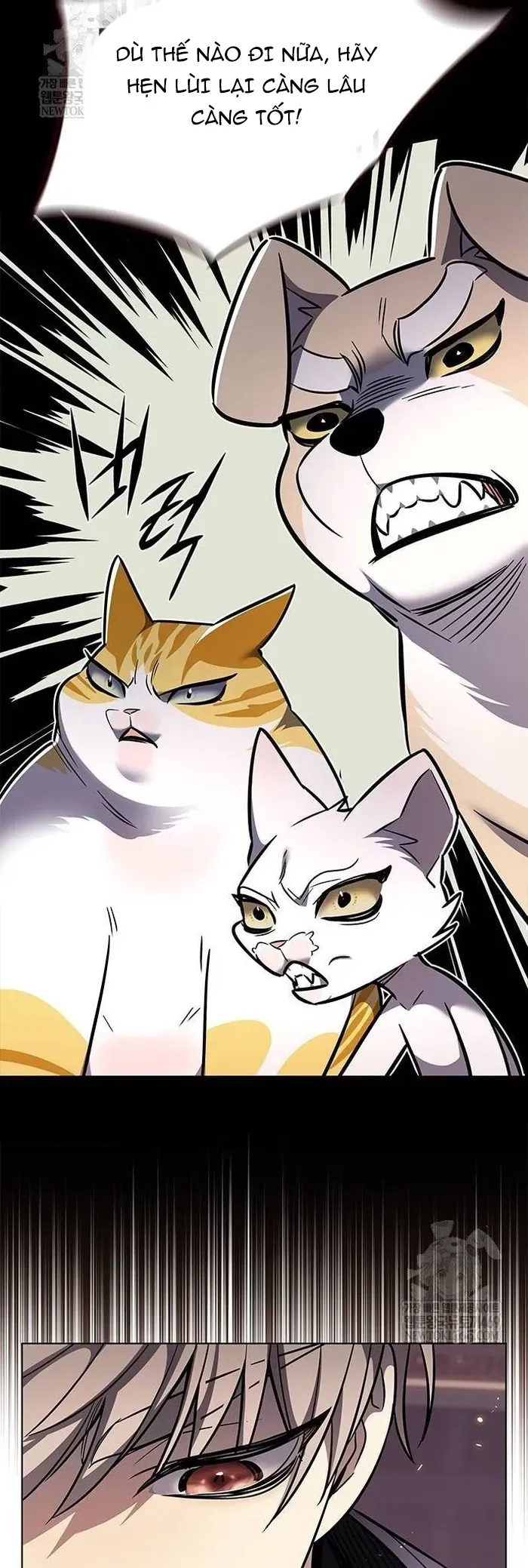 Hoá Thân Thành Mèo Chapter 377 - 61