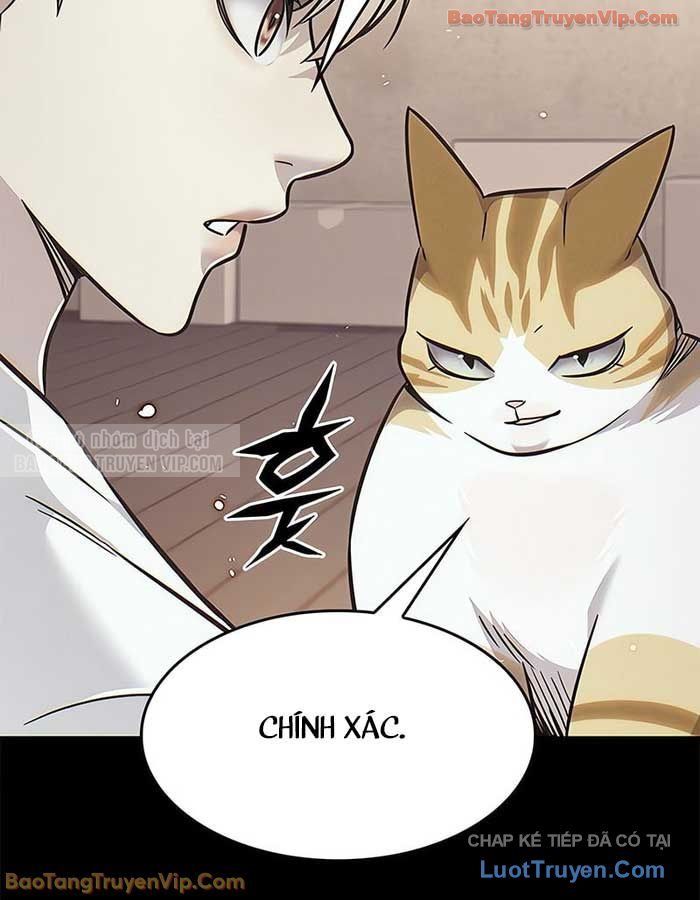 Hoá Thân Thành Mèo Chapter 380 - 59