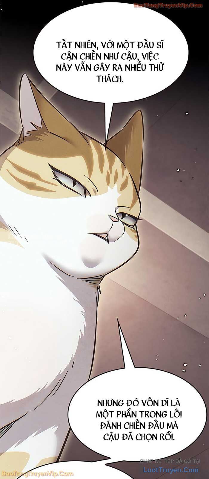 Hoá Thân Thành Mèo Chapter 380 - 60