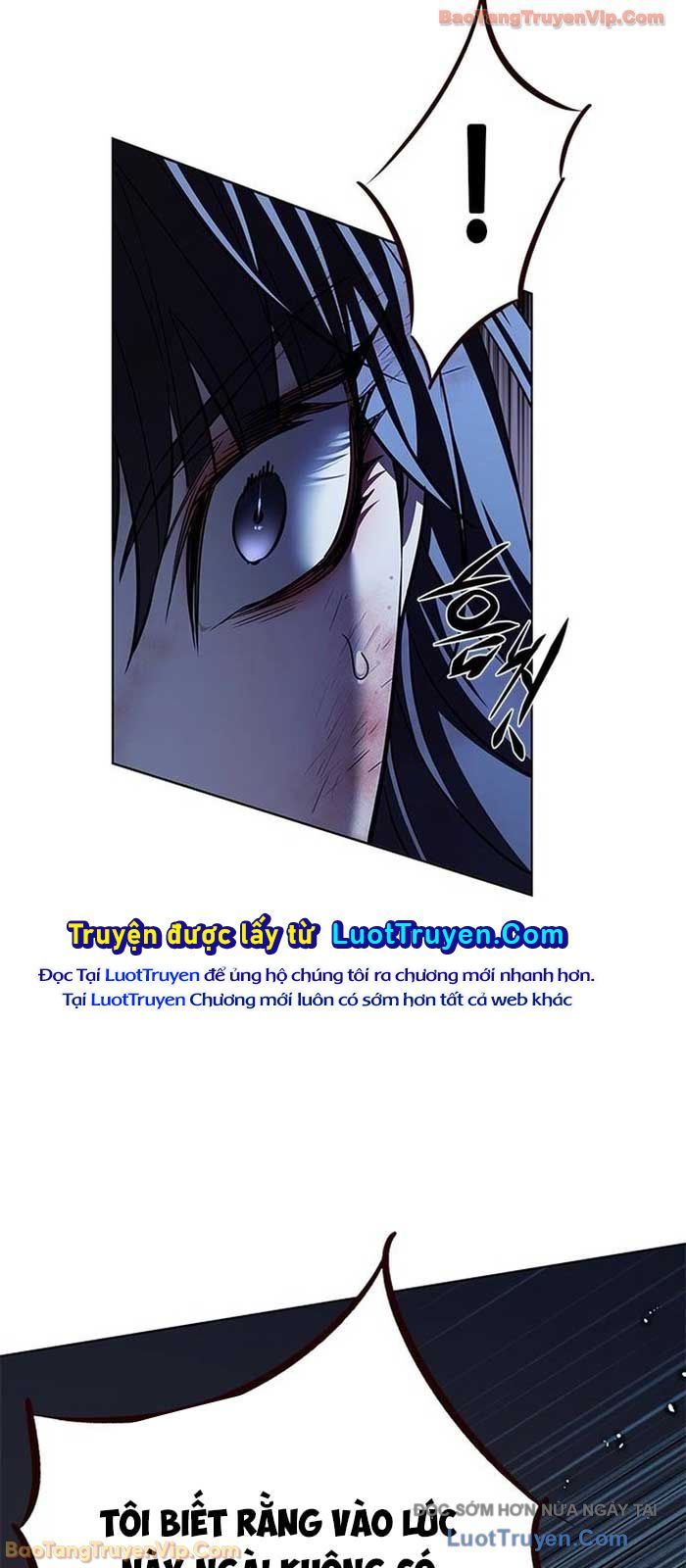 Hoá Thân Thành Mèo Chapter 382 - 101