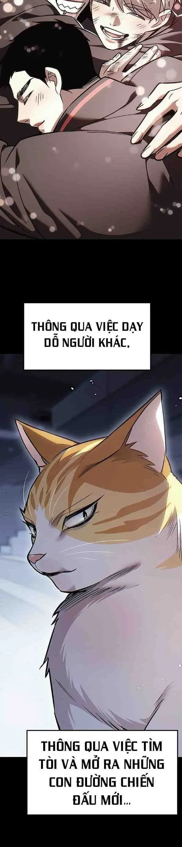 Hoá Thân Thành Mèo Chapter 385 - 10