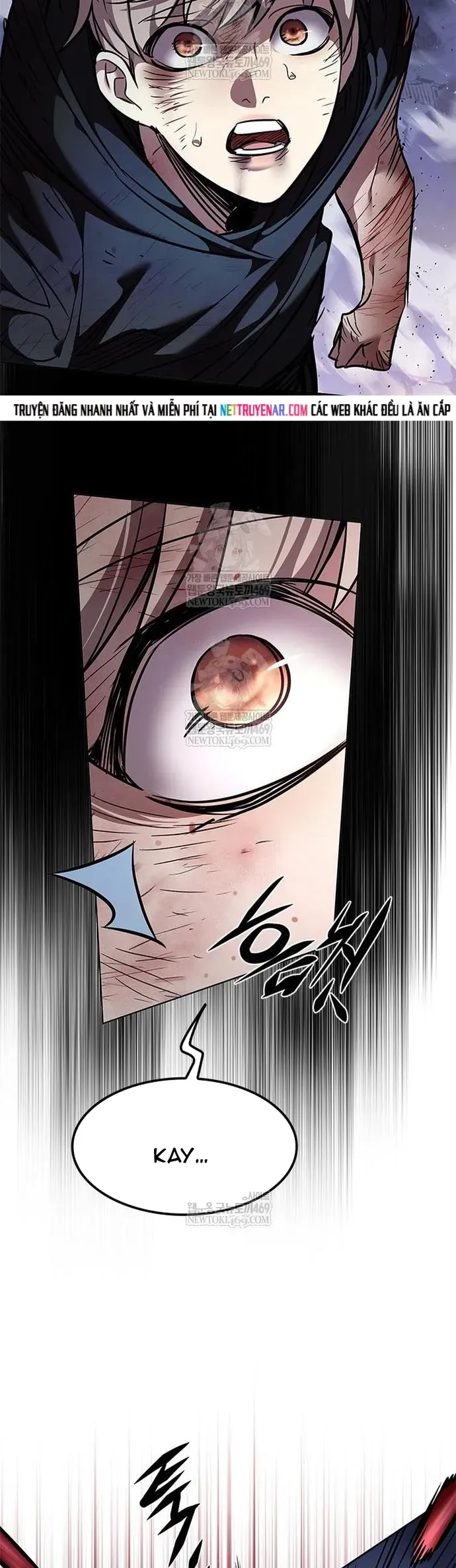 Hoá Thân Thành Mèo Chapter 386 - 5