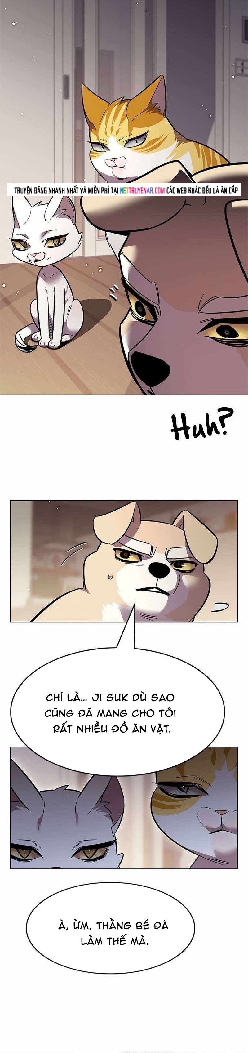 Hoá Thân Thành Mèo Chapter 391 - 36