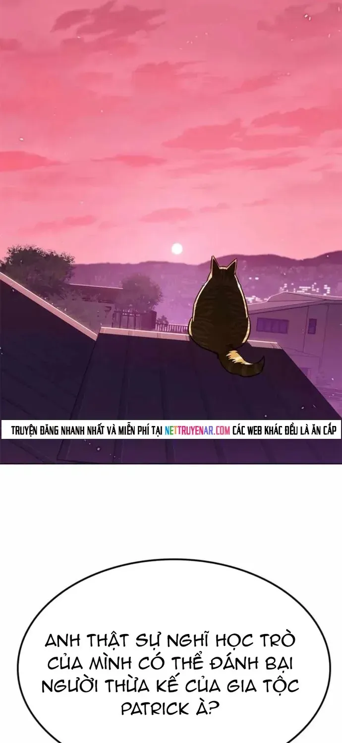 Hoá Thân Thành Mèo Chapter 396 - 2