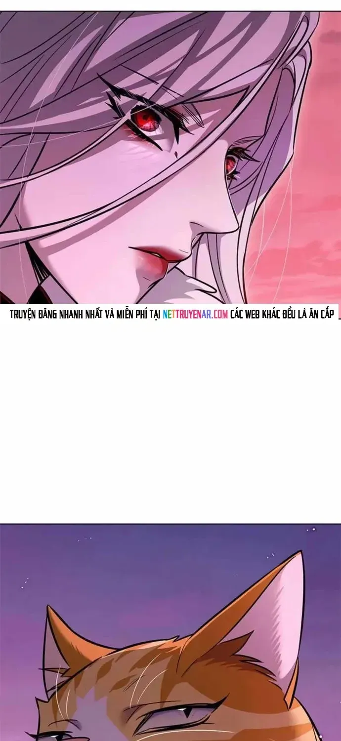 Hoá Thân Thành Mèo Chapter 396 - 16