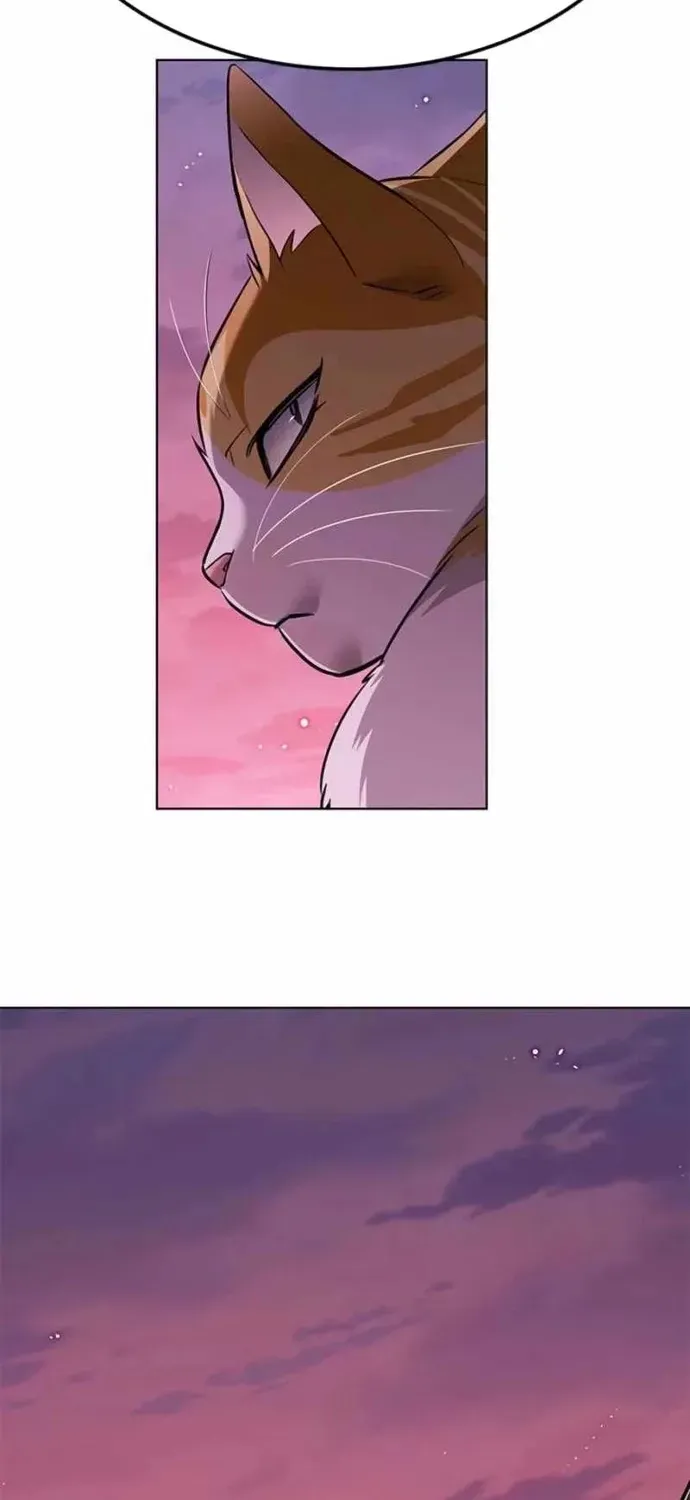 Hoá Thân Thành Mèo Chapter 396 - 3