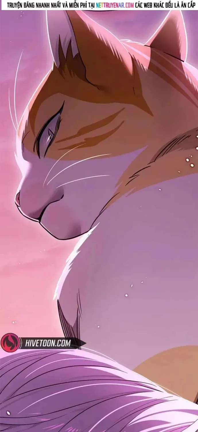 Hoá Thân Thành Mèo Chapter 396 - 21