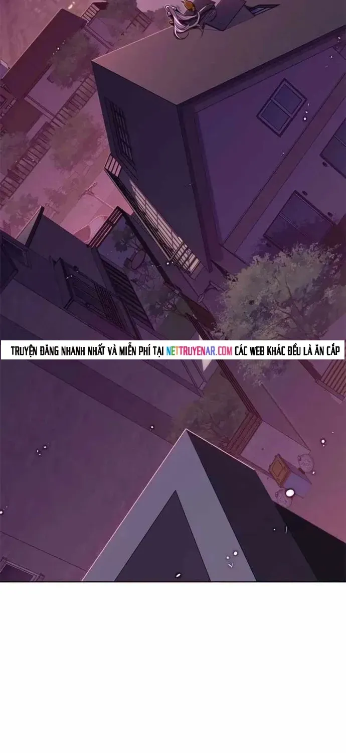 Hoá Thân Thành Mèo Chapter 396 - 24