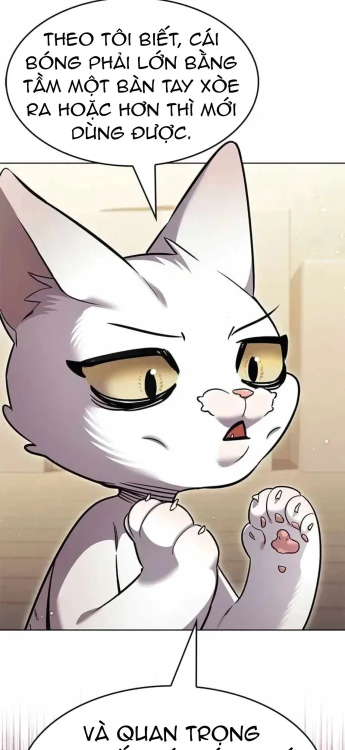 Hoá Thân Thành Mèo Chapter 396 - 50