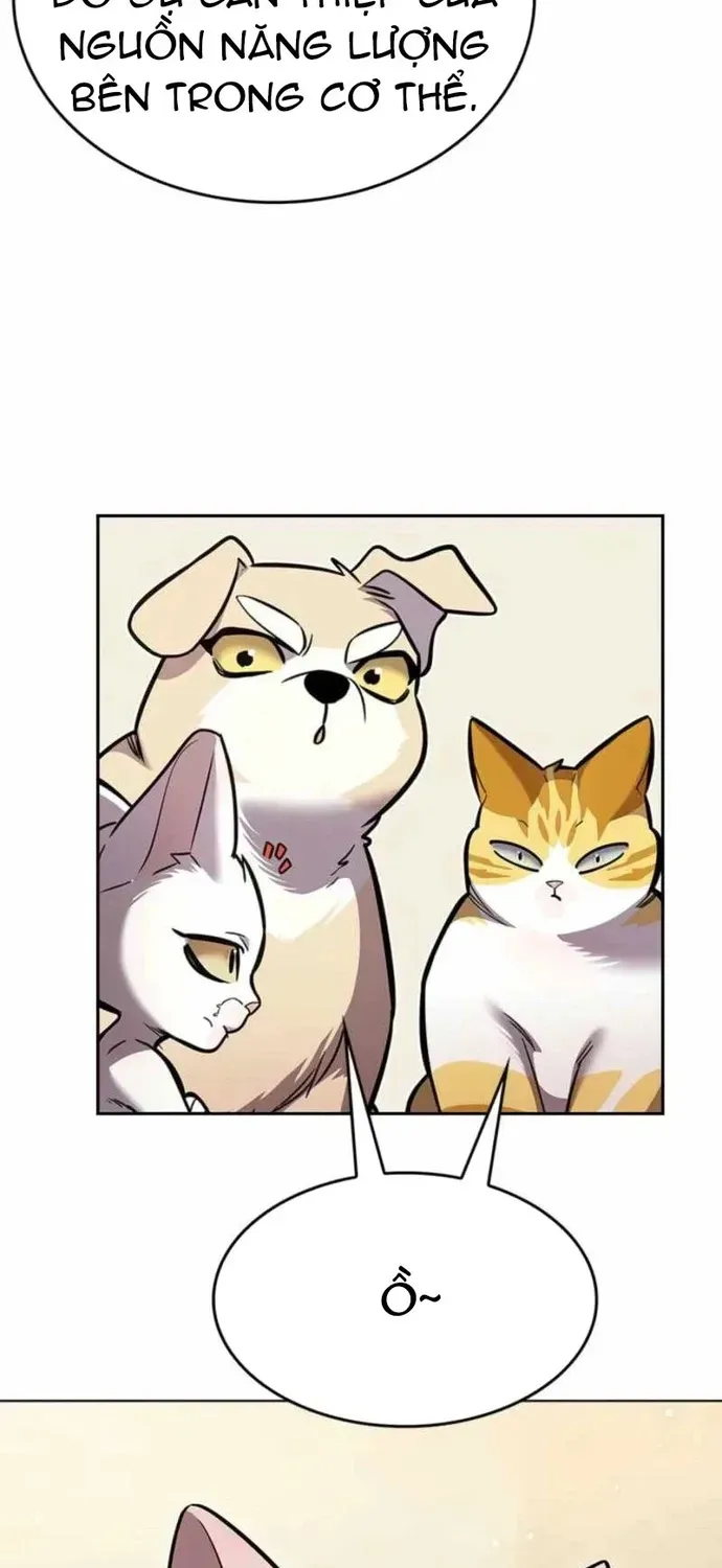 Hoá Thân Thành Mèo Chapter 396 - 53