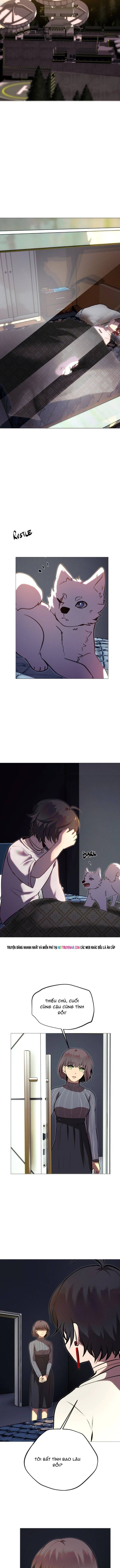 Trọng Sinh Mạc Thế Chapter 235 - 11