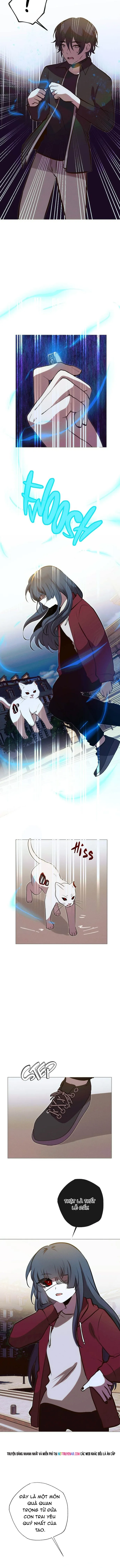 Trọng Sinh Mạc Thế Chapter 240 - 11