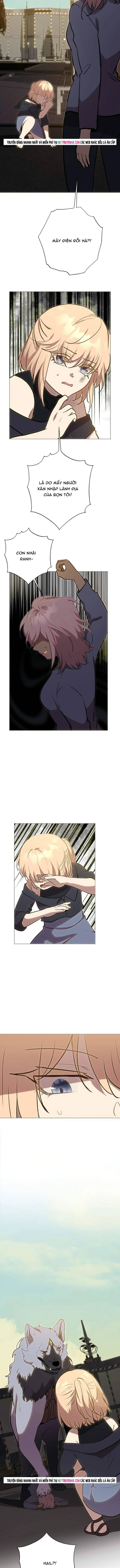 Trọng Sinh Mạc Thế Chapter 248 - 7