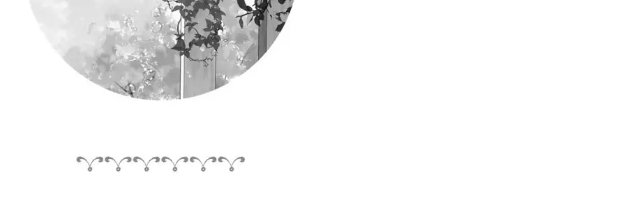 Shiro Seijo to Kuro Bokushi Chapter 78 - 10