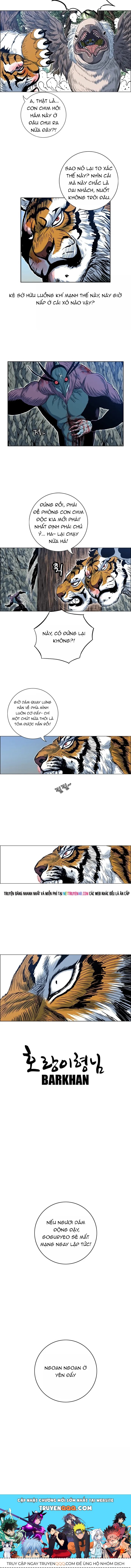 Anh Trai Tôi Là Hổ Chapter 130 - 12