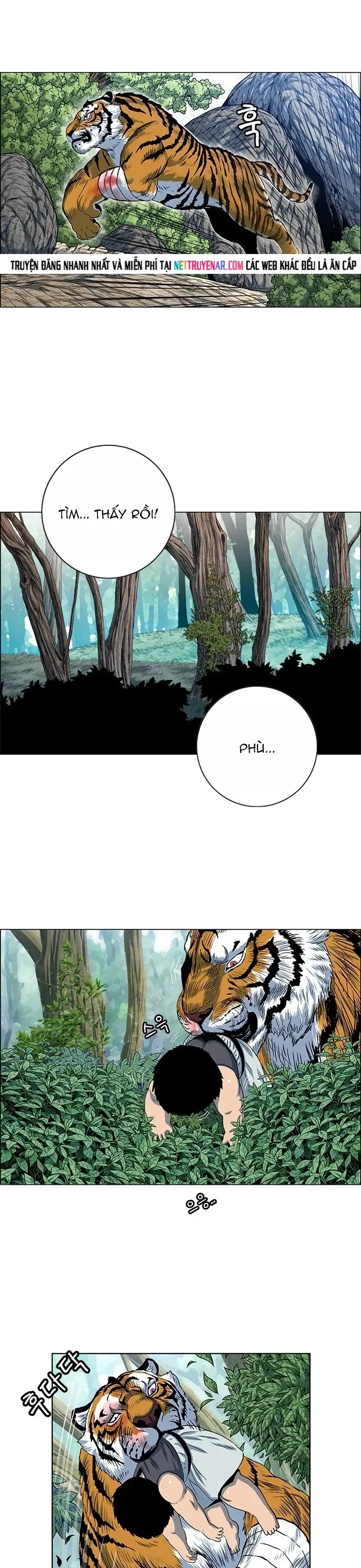 Anh Trai Tôi Là Hổ Chapter 131 - 19