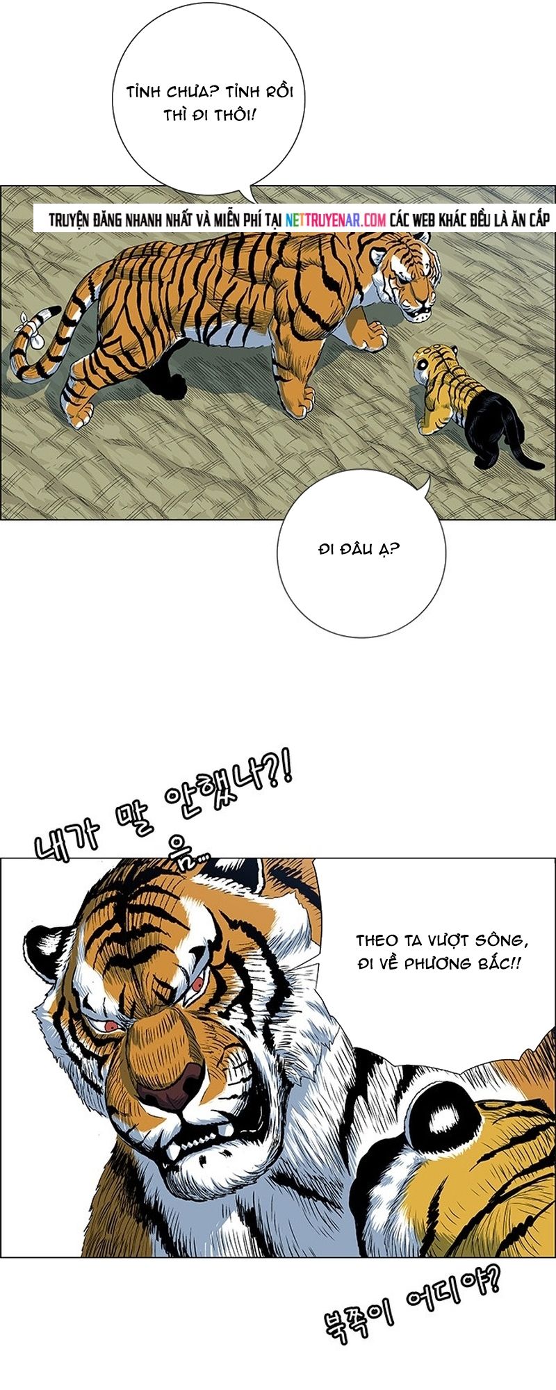 Anh Trai Tôi Là Hổ Chapter 134 - 21