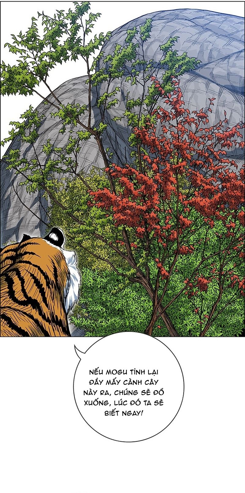 Anh Trai Tôi Là Hổ Chapter 134 - 43