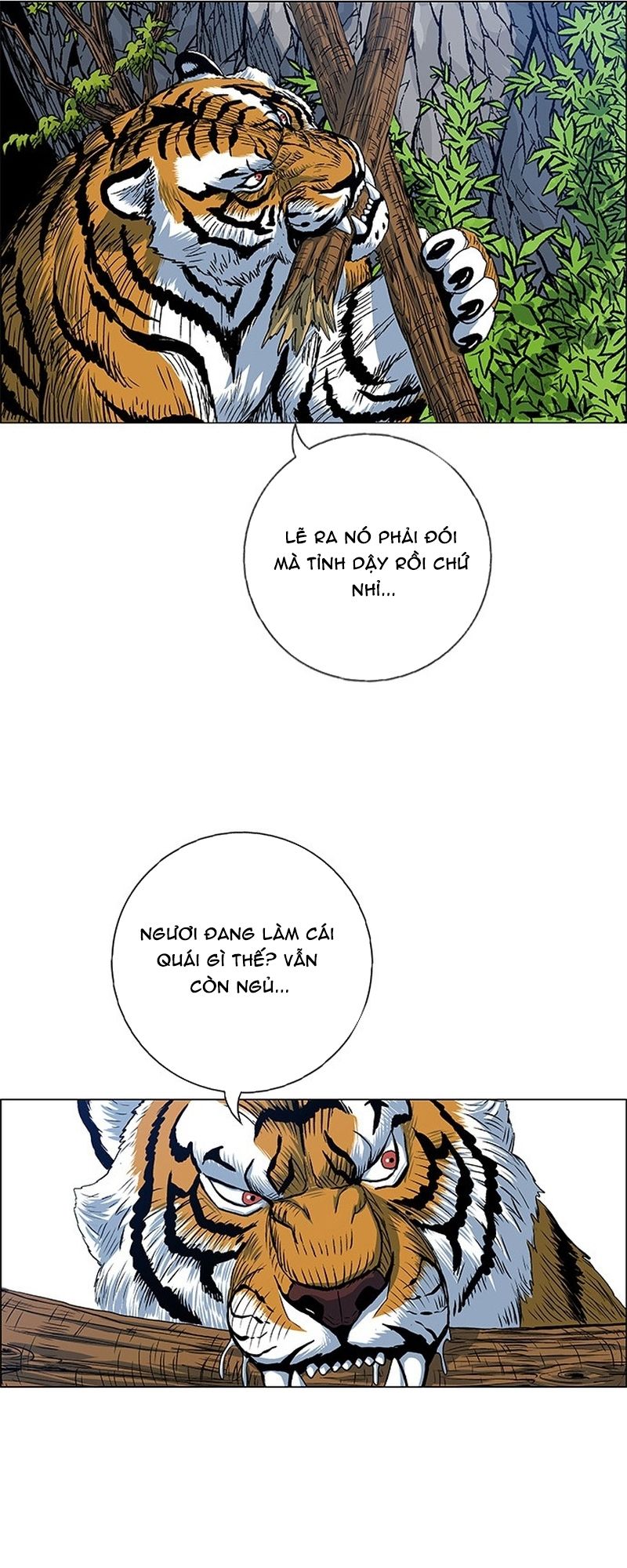 Anh Trai Tôi Là Hổ Chapter 134 - 59