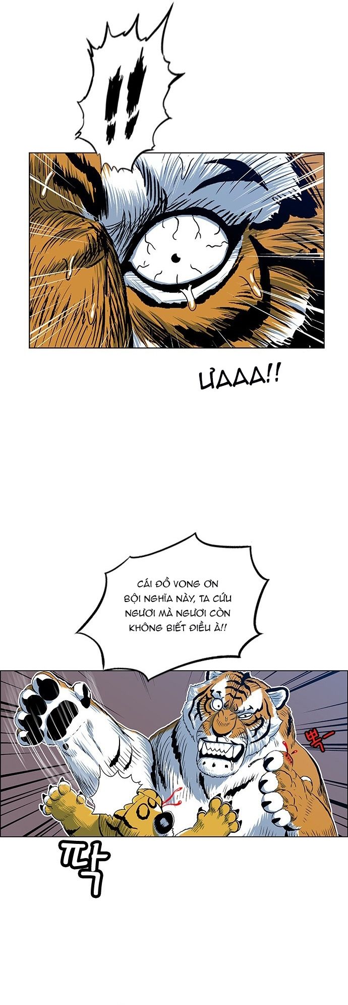 Anh Trai Tôi Là Hổ Chapter 136 - 29