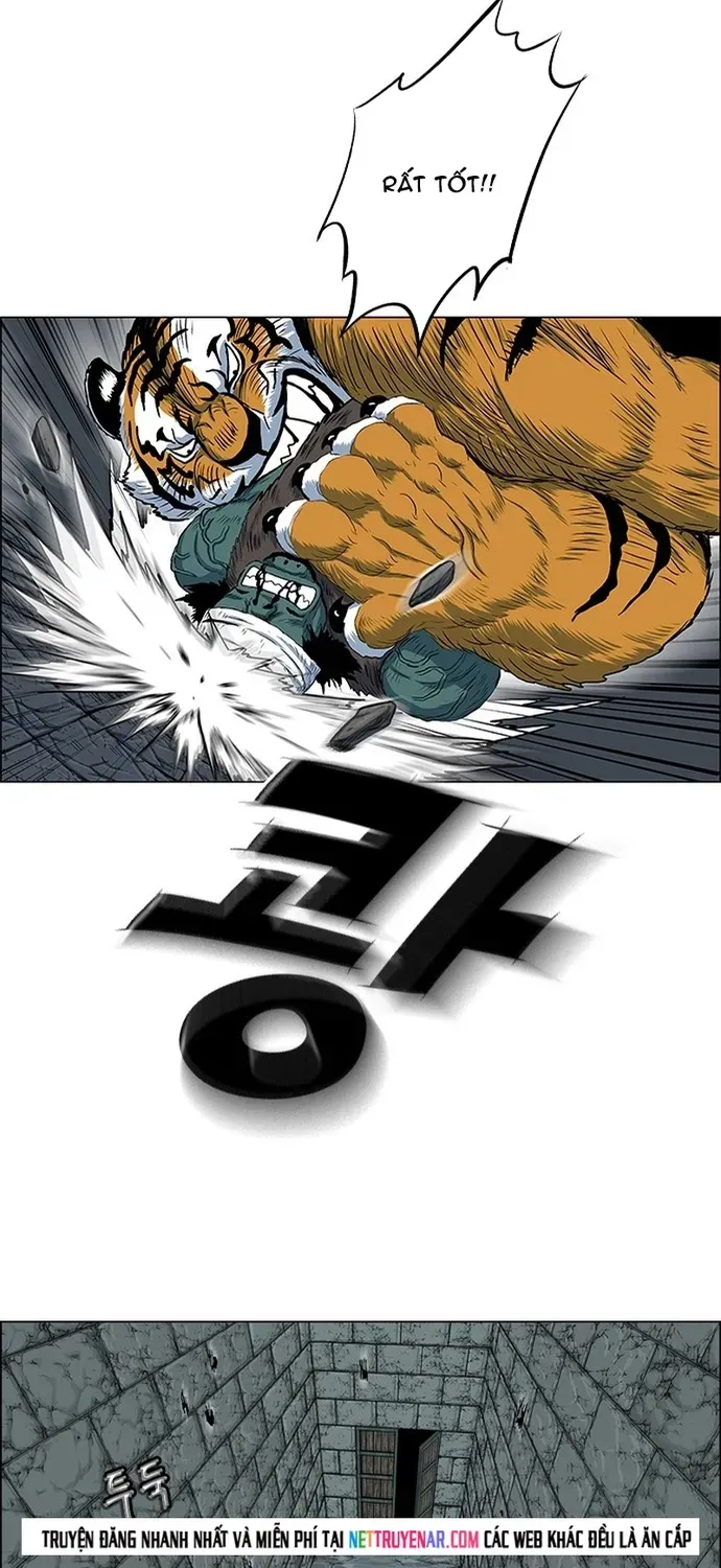 Anh Trai Tôi Là Hổ Chapter 137 - 14