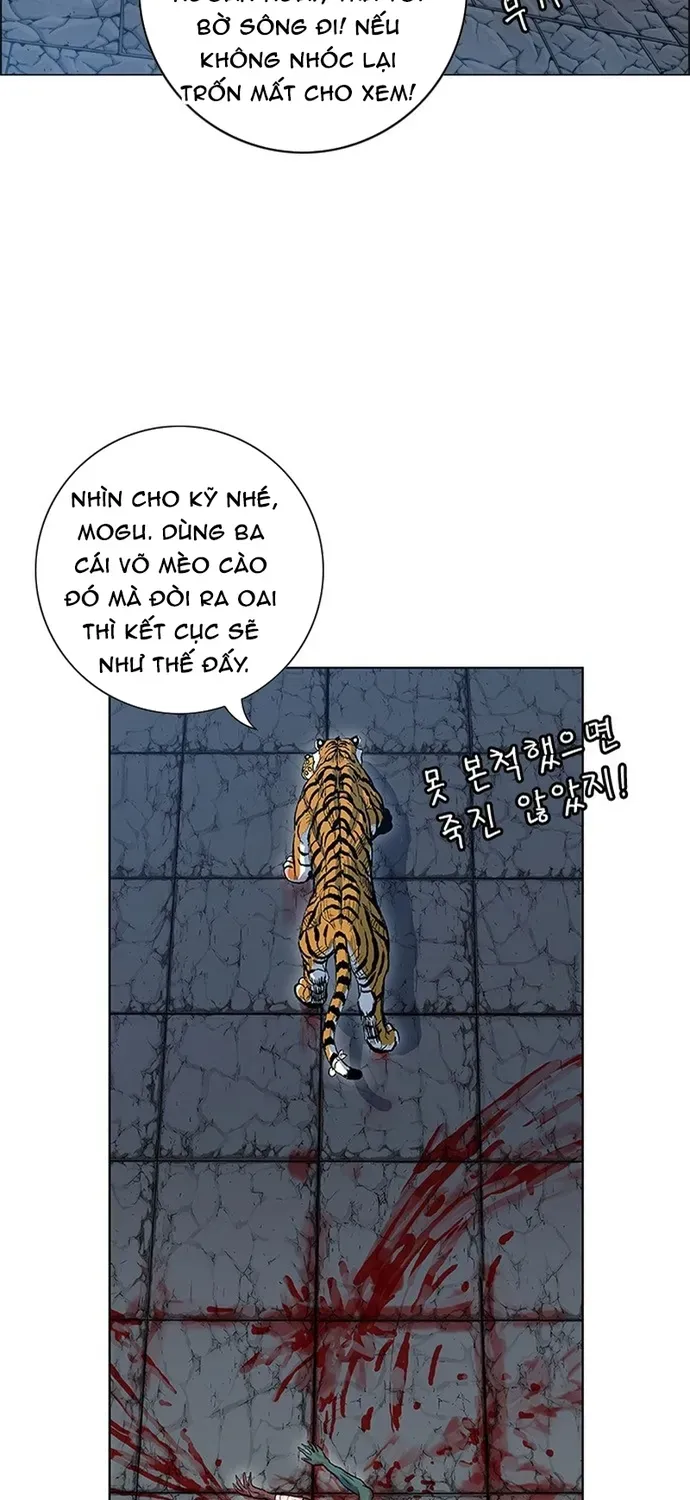 Anh Trai Tôi Là Hổ Chapter 137 - 42