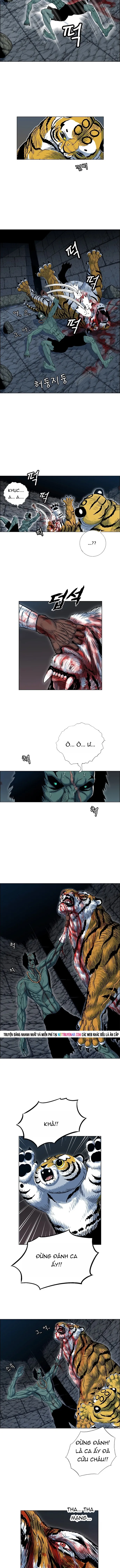 Anh Trai Tôi Là Hổ Chapter 138 - 6