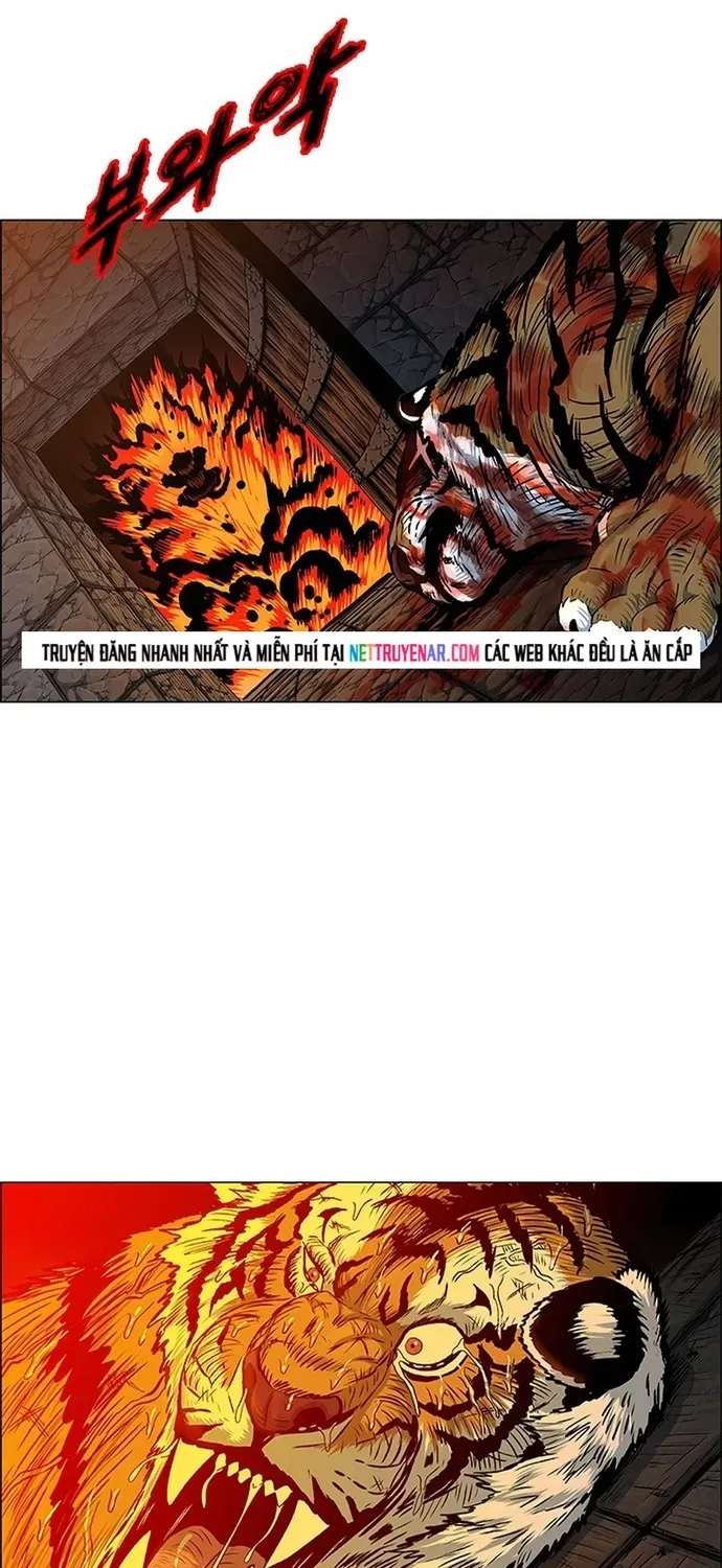Anh Trai Tôi Là Hổ Chapter 141 - 20