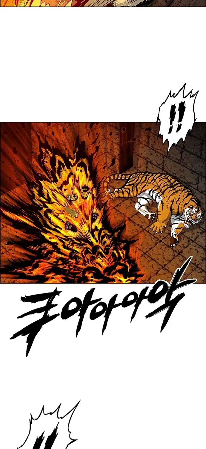 Anh Trai Tôi Là Hổ Chapter 141 - 21