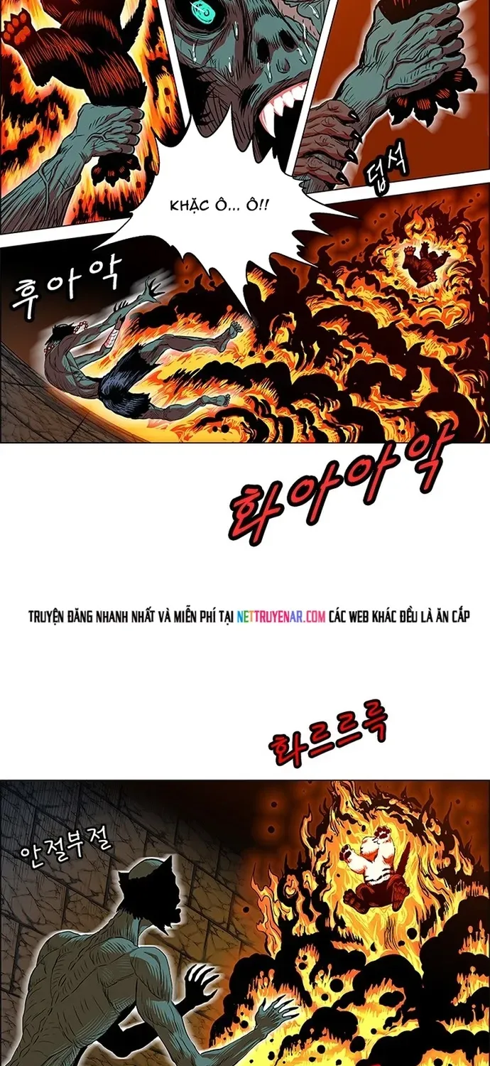 Anh Trai Tôi Là Hổ Chapter 141 - 27