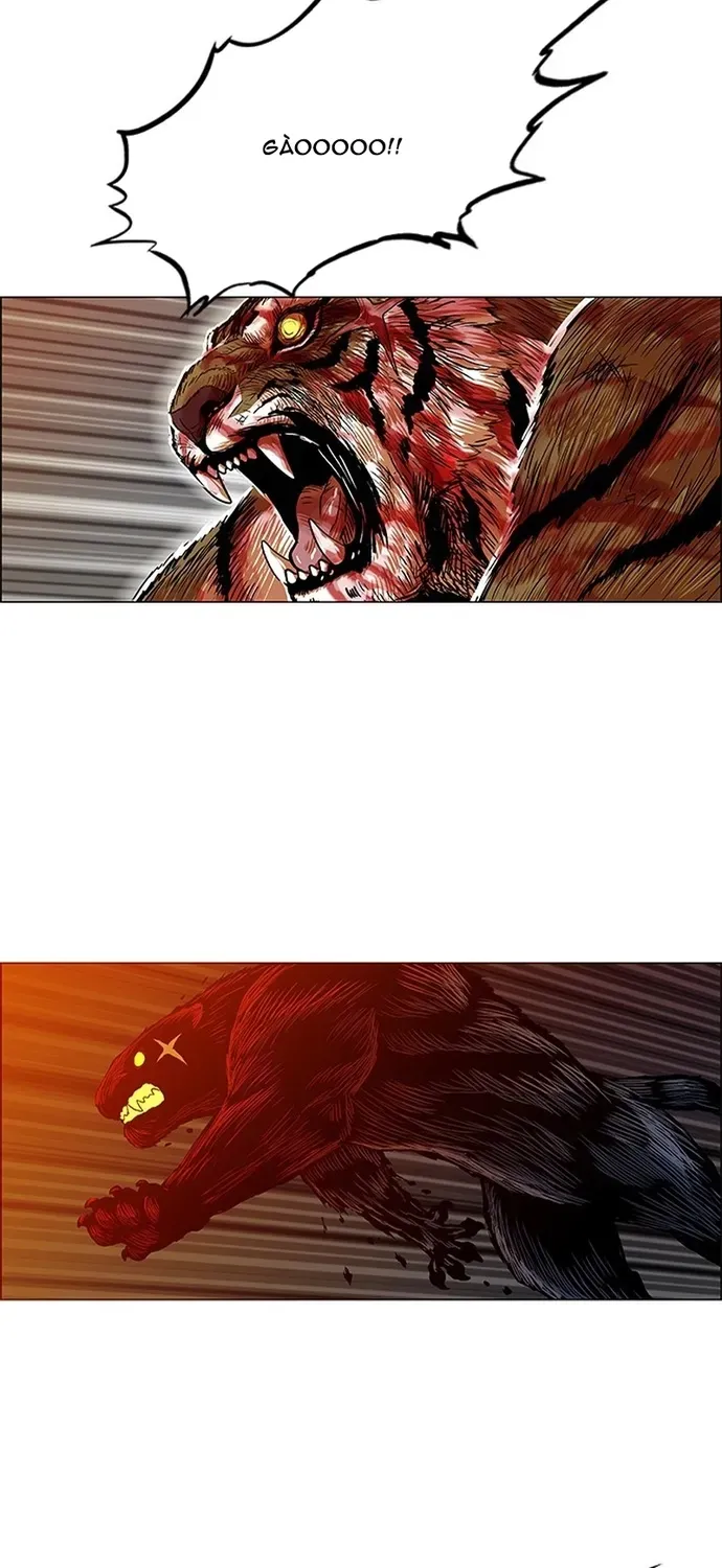 Anh Trai Tôi Là Hổ Chapter 141 - 32