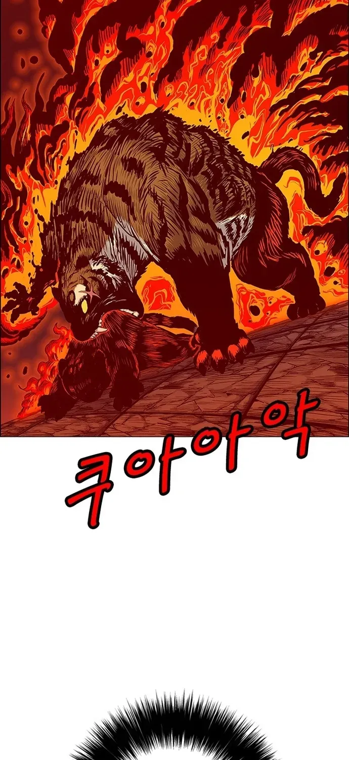 Anh Trai Tôi Là Hổ Chapter 141 - 41