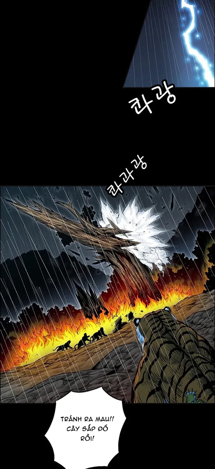 Anh Trai Tôi Là Hổ Chapter 141 - 58