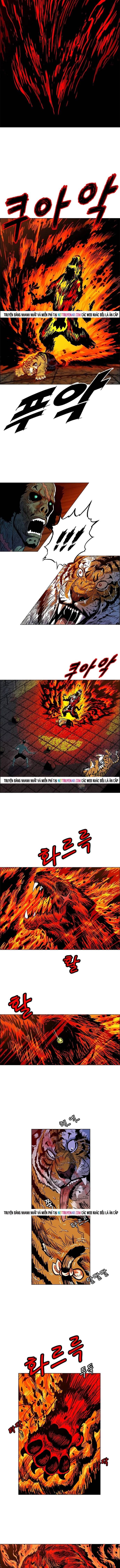 Anh Trai Tôi Là Hổ Chapter 142 - 9