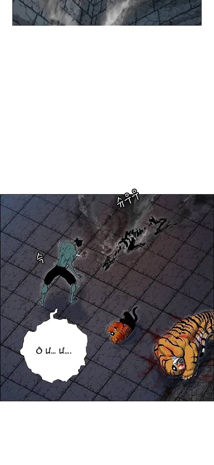 Anh Trai Tôi Là Hổ Chapter 144 - 12